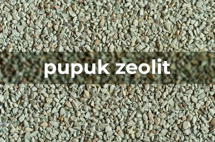 Zeolite Untuk Pupuk dan Efisiensi Nutrisi Tanaman
